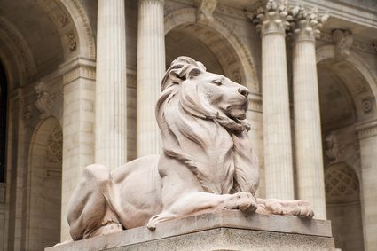 Are Libraries Really Necessary?