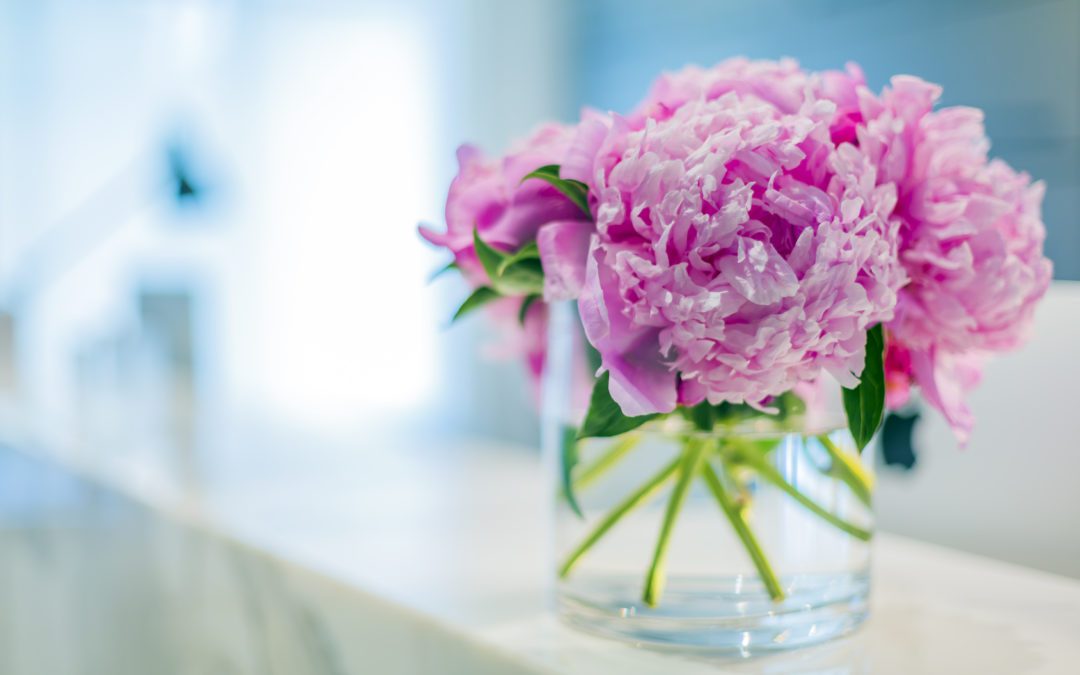 Hospital Design – Can Beauty Help Heal?