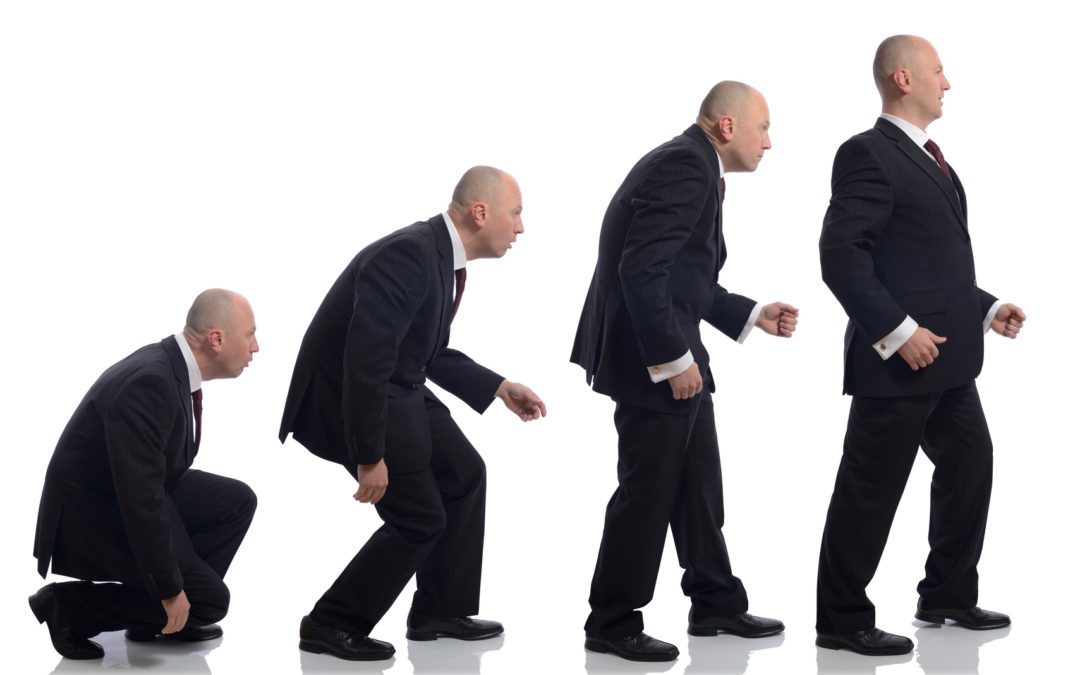 The Evolutionary Keys to Business Survival