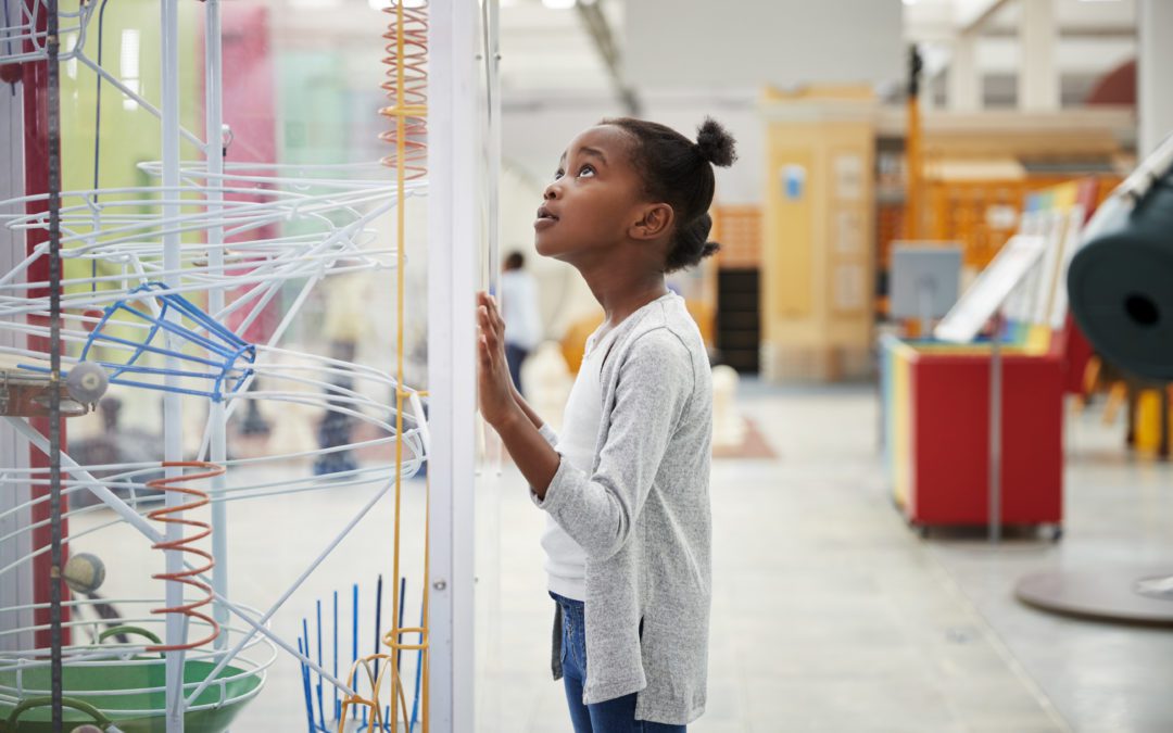 When Mission and Resources Diverge – The Museum Conflict