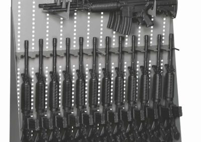 Firearm storage