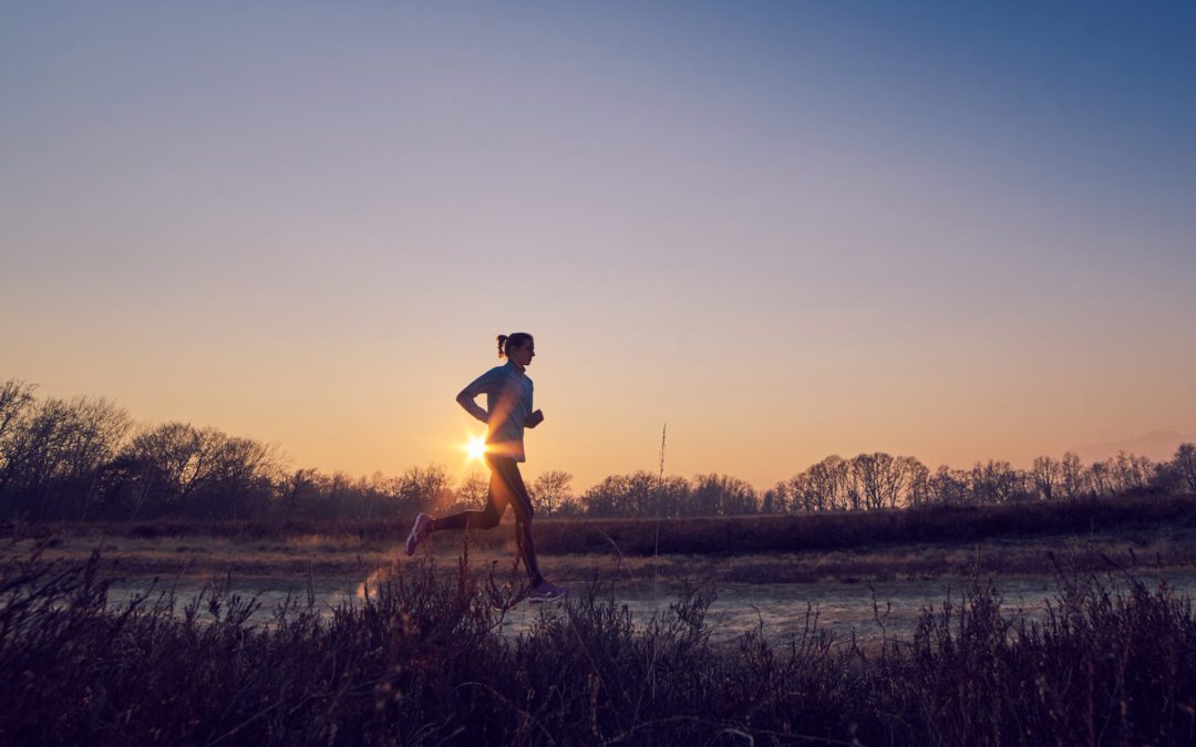 Lesson Two: The Business Fitness Plateau